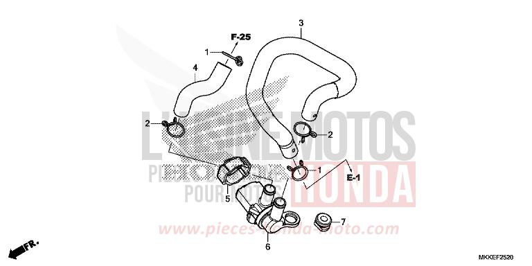 LUFTEINBLASMAGNETVENTIL von Africa Twin PEARL GLARE WHITE (NHB53HB) von 2019